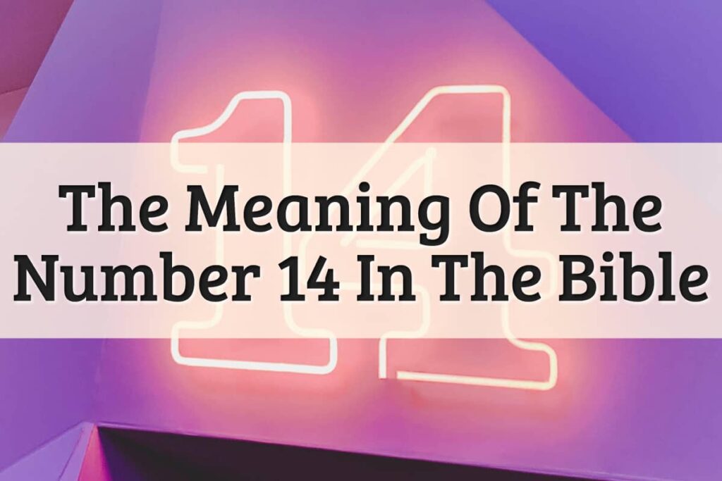 The Meaning of Numbers: The Number 14